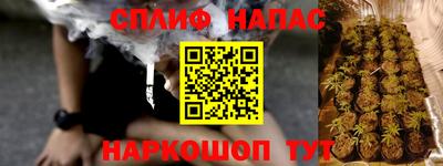 2c-b Кингисепп