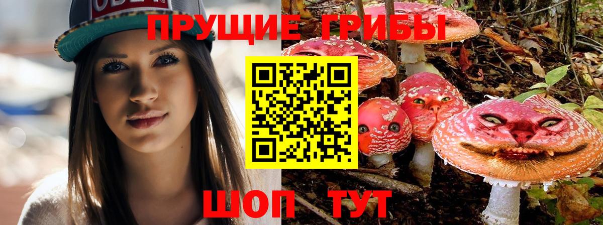 где продают   Галлюциногенные грибы Cubensis  Вход с VPN  Жигулёвск 